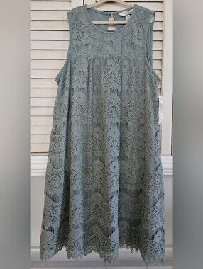Speechless Sage Green Lace Midi Dress